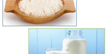 Tự kiểm soát làn da chống dầu hiệu quả