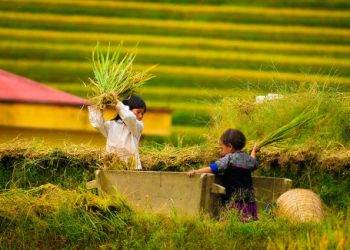 Địa Điểm Du Lịch Hấp Dẫn Mù Căng Chải