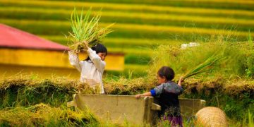 Địa Điểm Du Lịch Hấp Dẫn Mù Căng Chải