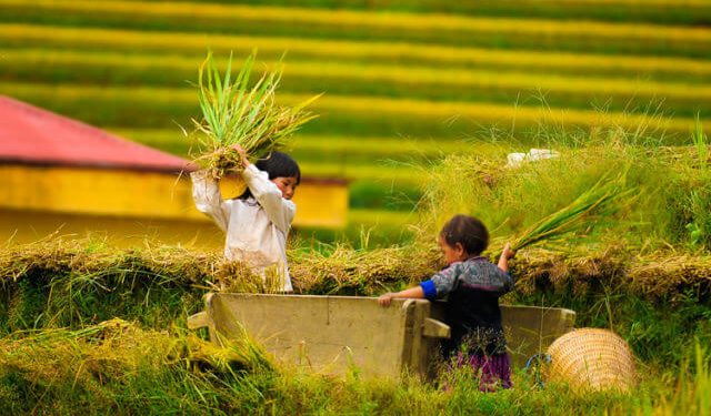 Địa Điểm Du Lịch Hấp Dẫn Mù Căng Chải
