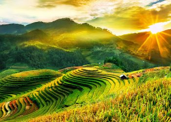 Kinh Nghiệm Du Lịch Mù Căng Chải