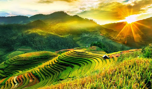 Kinh Nghiệm Du Lịch Mù Căng Chải