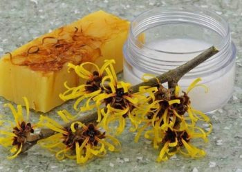 Chắc chắn bạn sẽ bất ngờ khi biết rằng, chiết xuất từ vỏ cây phỉ được sử dụng rất nhiều trong các công thức dưỡng da của các hãng mỹ phẩm nổi tiếng.