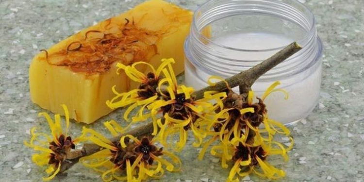 Chắc chắn bạn sẽ bất ngờ khi biết rằng, chiết xuất từ vỏ cây phỉ được sử dụng rất nhiều trong các công thức dưỡng da của các hãng mỹ phẩm nổi tiếng.