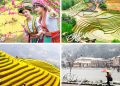 Sapa 365 Ngày Tuyệt Sắc