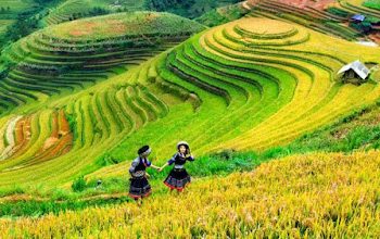 Ảnh Đẹp Du Lịch Sapa