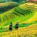 Ảnh Đẹp Du Lịch Sapa