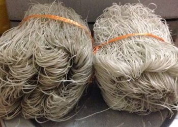 Miến Bẩn Tràn Ngập Thị Trường