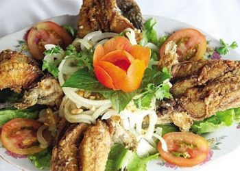 Về Đầm Dơi Nhậu Món Kỳ Lạ Nhất Hành Tinh