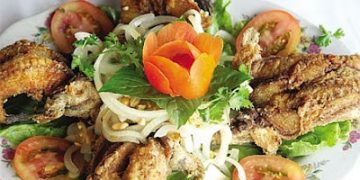 Về Đầm Dơi Nhậu Món Kỳ Lạ Nhất Hành Tinh