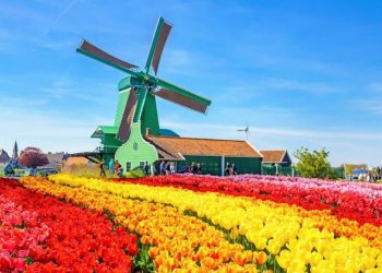 Cối Xay Gió Biểu Tượng Của Người Hà Lan