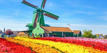 Cối Xay Gió Biểu Tượng Của Người Hà Lan