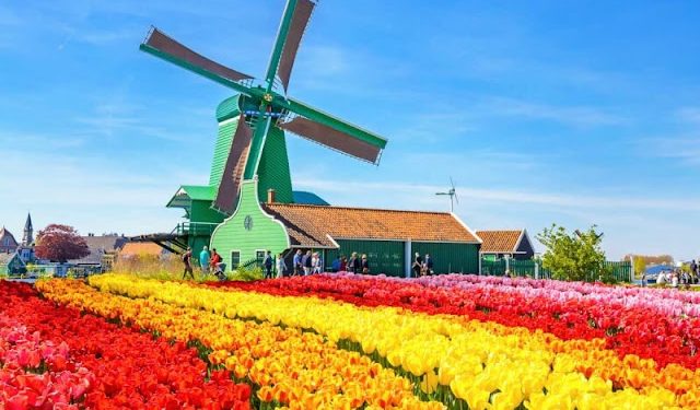 Cối Xay Gió Biểu Tượng Của Người Hà Lan