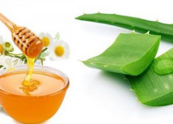 Chăm Sóc Da Từ Mật Ong Và Nha Đam