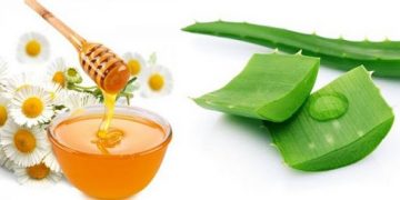 Chăm Sóc Da Từ Mật Ong Và Nha Đam