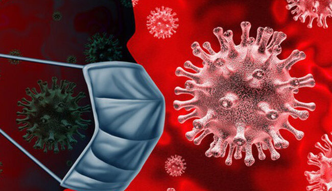 virus corona là gì