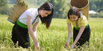 Đặc sản Mù Cang Chải