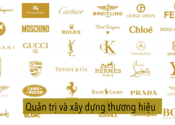 Quản trị thương hiệu là gì?