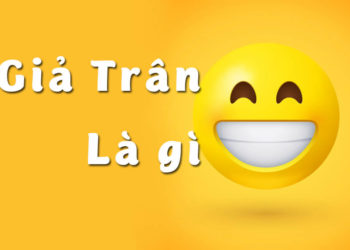 Giả trân là gì