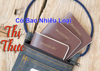 Thị thực có bao nhiêu loại?