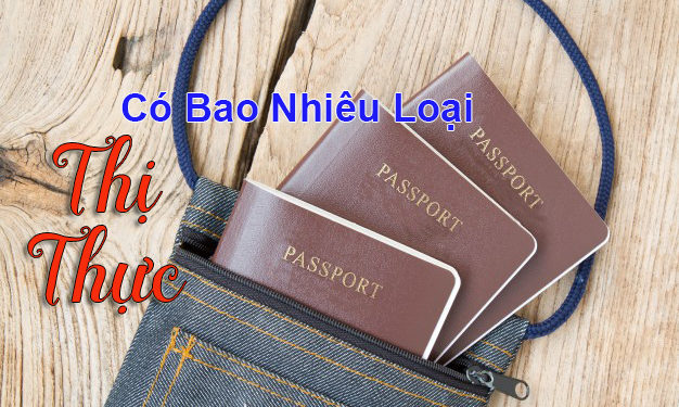 Thị thực có bao nhiêu loại?