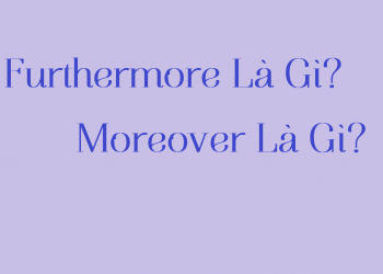 Furthermore Là Gì Moreover Là Gì