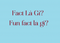 Fact Là Gì? Fun Fact Là Gì?