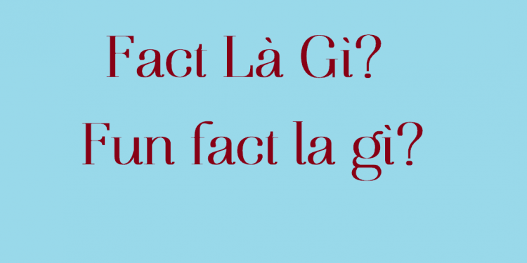 Fact Là Gì? Fun Fact Là Gì?