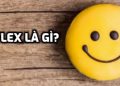 Flex Là Gì?