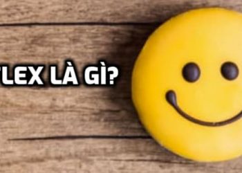 Flex Là Gì?